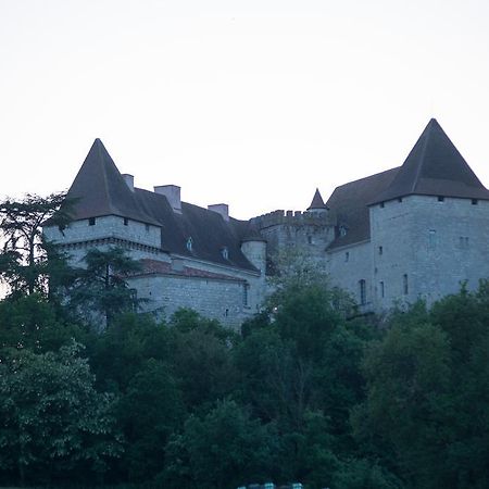 Chateau De Goudourville Villa Bagian luar foto