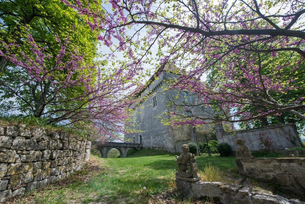 Chateau De Goudourville Villa Bagian luar foto