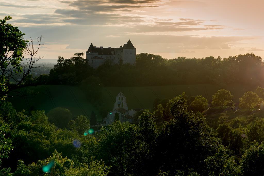 Chateau De Goudourville Villa Bagian luar foto