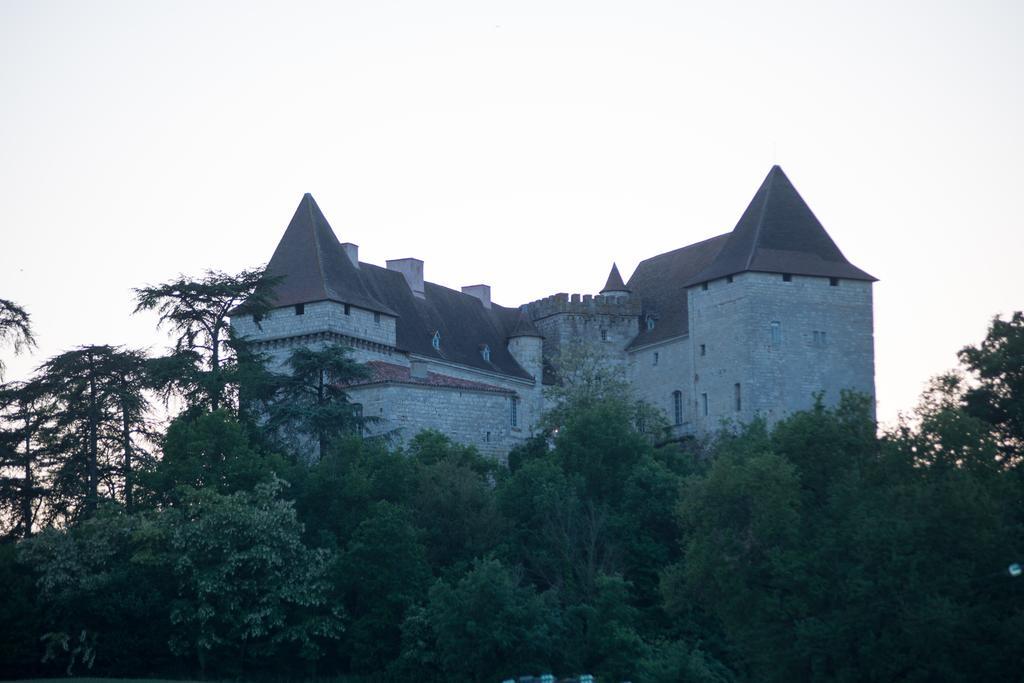 Chateau De Goudourville Villa Bagian luar foto